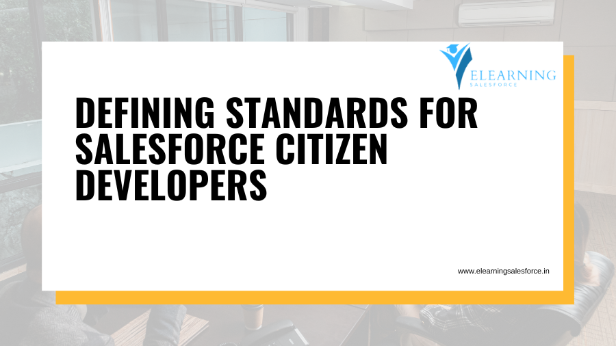 Defining Standards for Salesforce Citizen Developers