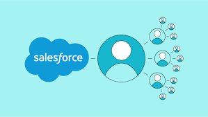 Salesforce & Xero Integration