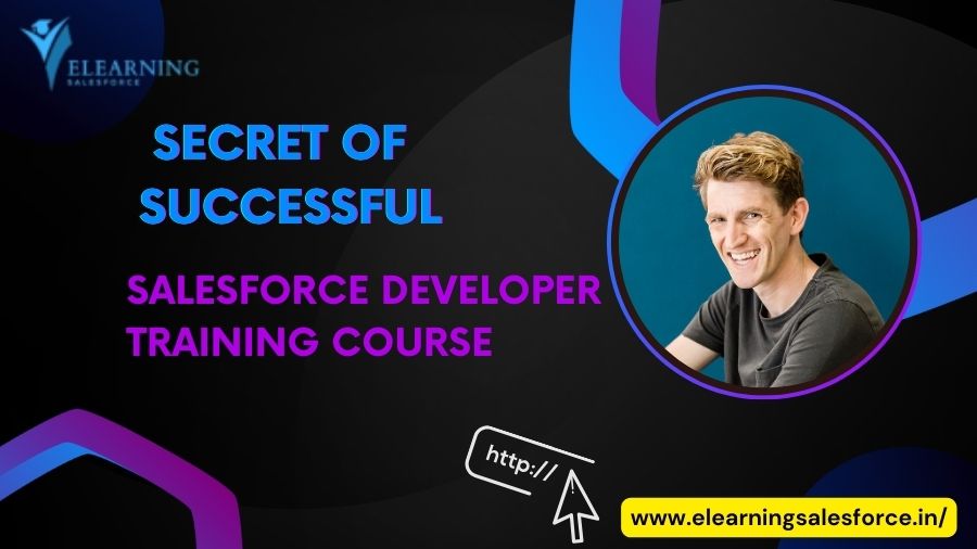 Salesforce Developer Training Course