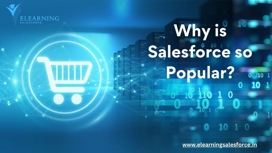 Why is Salesforce so popular?