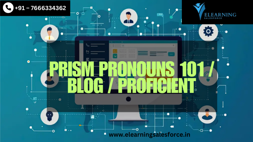 Prism Pronouns 101 Blog Proficient (1)