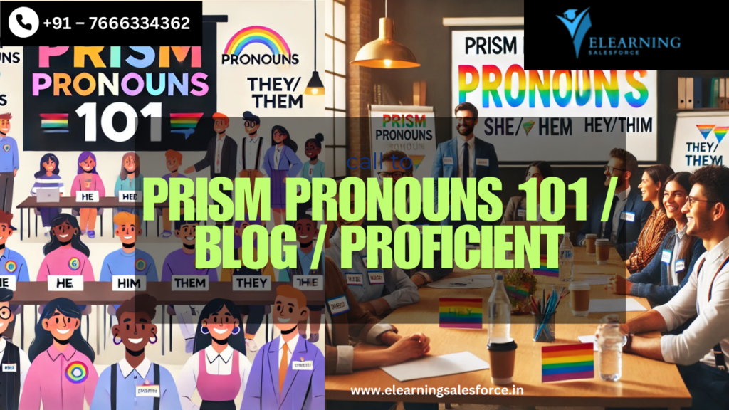 Prism Pronouns 101 Blog Proficient