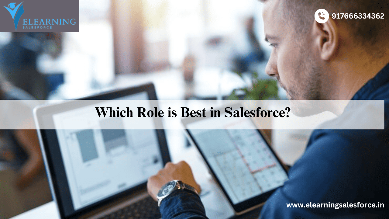 Read more about the article Which Role is Best in Salesforce?