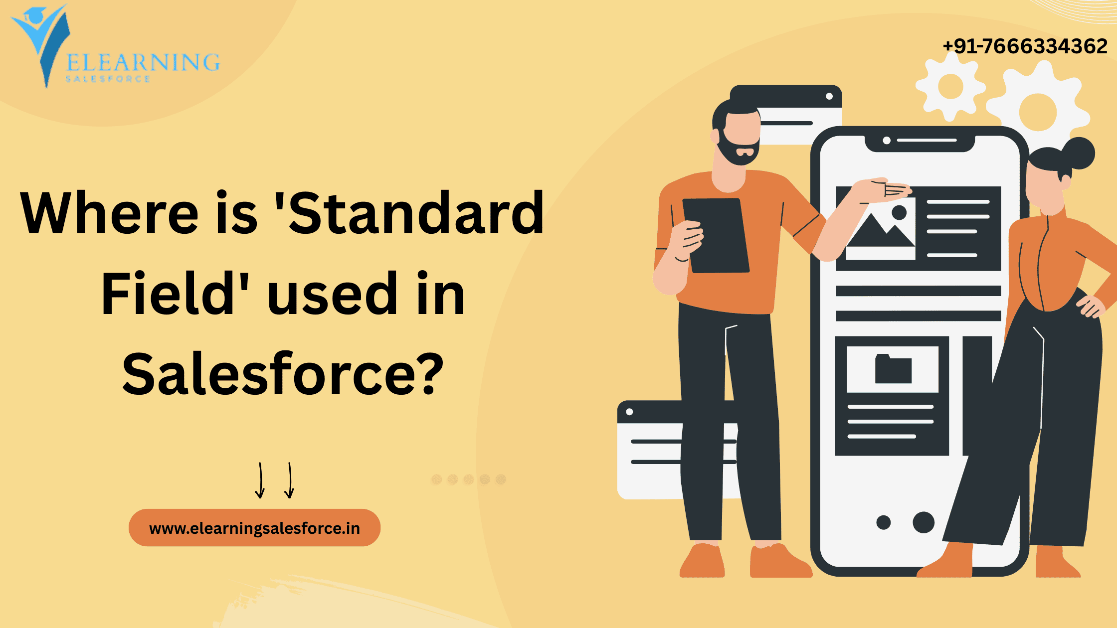 Read more about the article Where is ‘Standard Field’ used in Salesforce?
